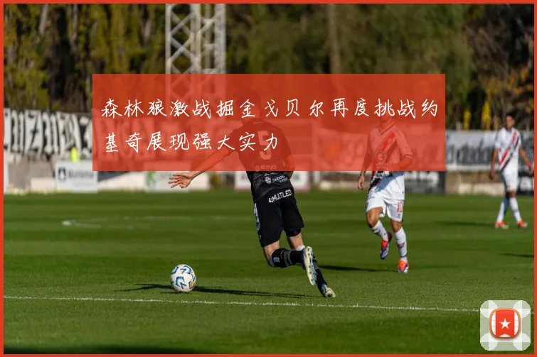 森林狼激战掘金戈贝尔再度挑战约基奇展现强大实力